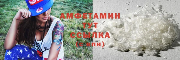 гидра Пересвет