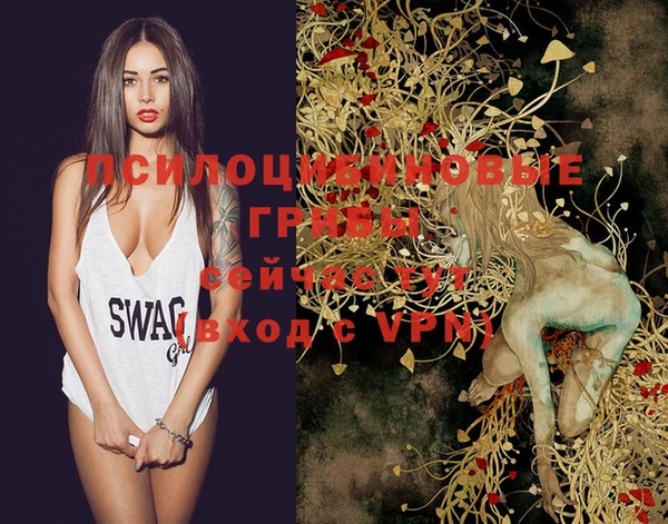 кокаин колумбия Алзамай