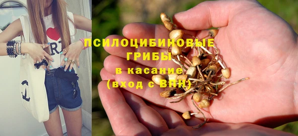 меф Алексин